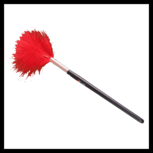 Feather brush